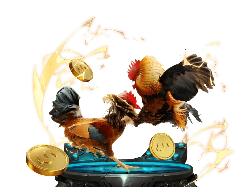 Đá gà trực tiếp